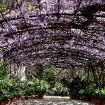 Jardin Botanico Finca La Concepción, tropical gardens in malaga