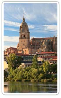 Social, Cultural and Sight-seeing activities