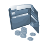 Daily expenses
